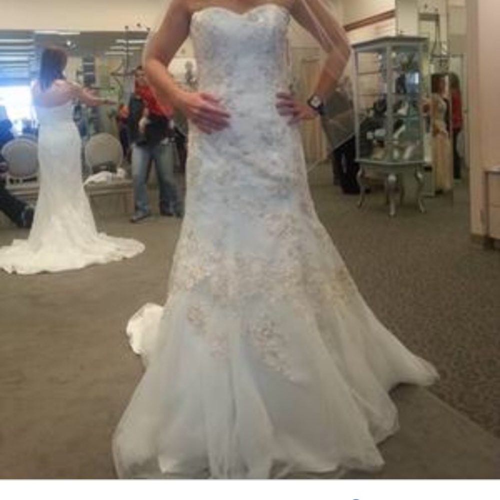 David’s Bridal Wedding Dress